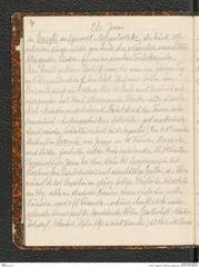 Seite 8, Tagebuch "Palästina (Tagebuch)" (NHMW-PRAE-BBB-80)